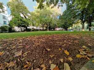 IMG_20201011_180724