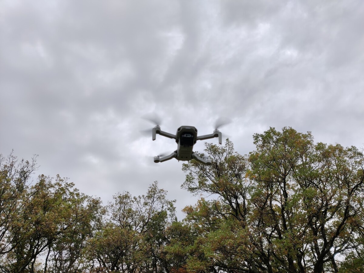 DJI Mini 2 (6)