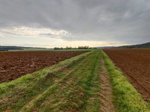 IMG_20200816_152919