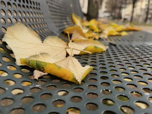 IMG_20201125_132730