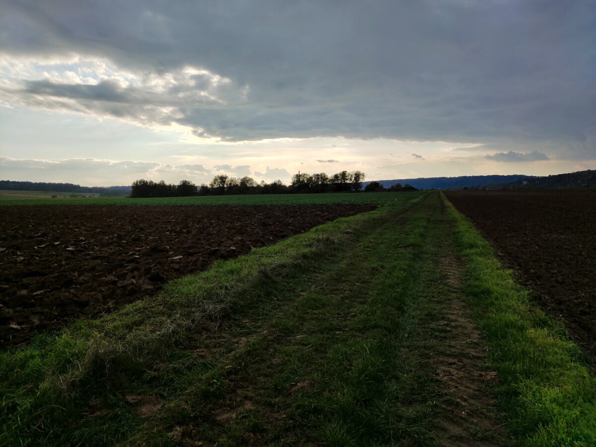Photo sous exposée Vivo X51