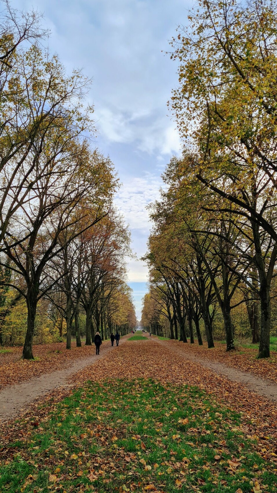 Samsung withgalaxy photo verticale 01