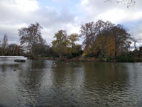 IMG_20201204_100525