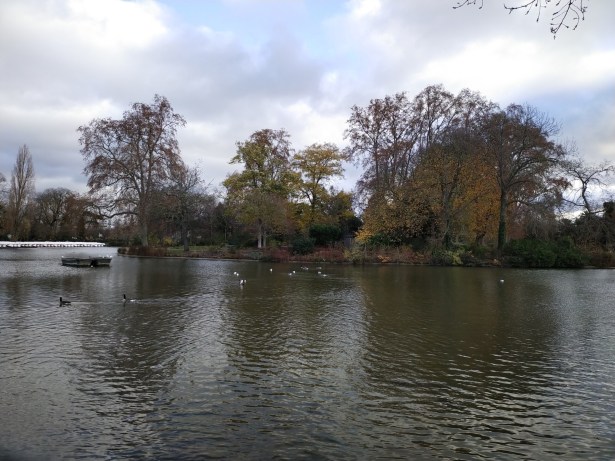 IMG_20201204_100525