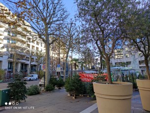 IMG_20201210_125047