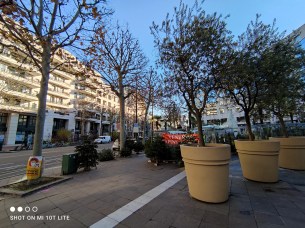 IMG_20201210_125052