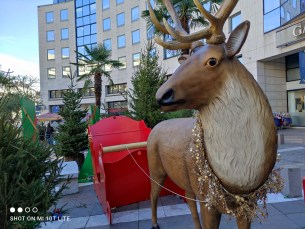 IMG_20201210_125837