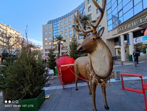 IMG_20201210_125842