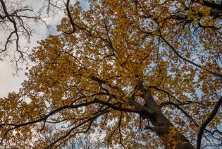 Test_Nikon_Z5_DSC_0765