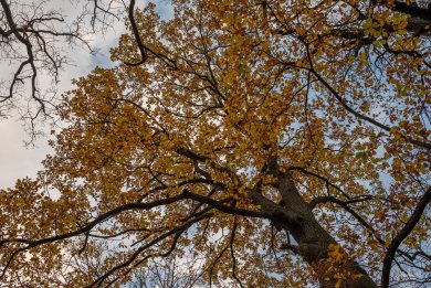 Test_Nikon_Z5_DSC_0765