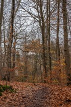 Test_Nikon_Z5_DSC_0769