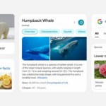 Google : une nouvelle interface pour les résultats de recherche mobile