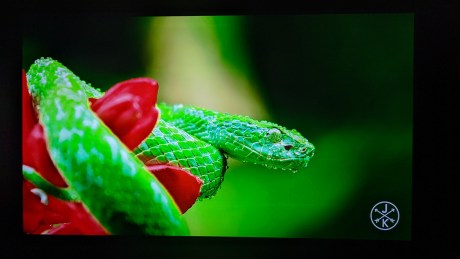 Cette vidéo de Costa Rica 4K met toujours autant les appareils en valeur