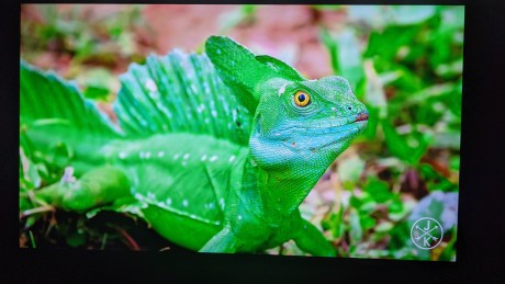 C'est vert !