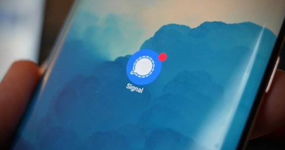 L'application Signal sur smartphone // Source : Frandroid
