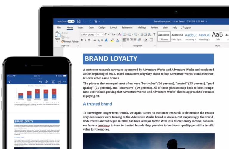 T L CHARGER MICROSOFT WORD POUR WINDOWS MAC IOS ANDROID visual data 6