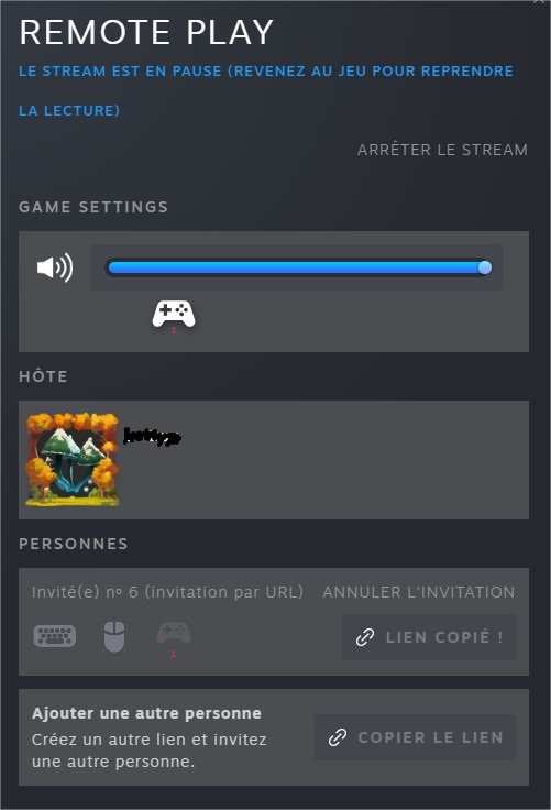 Comment jouer en multijoueur sur Steam avec un ami qui n