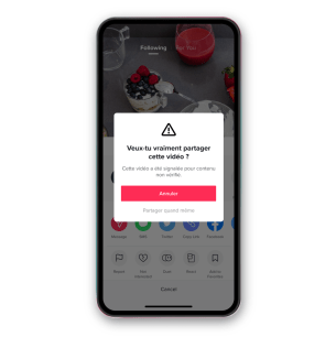 Message sur une vidéo suspecte // Source : TikTok