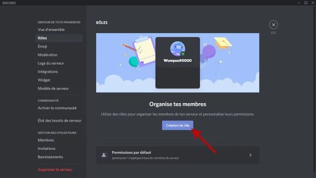 Comment configurer un serveur Discord 14
