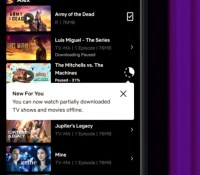 L'application Netflix permet maintenant d'entamer la lecture d'un contenu avant la fin du téléchargement // Source : Netflix
