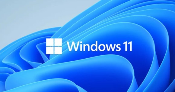 Windows 11 logo hero