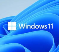 Windows 11 logo hero