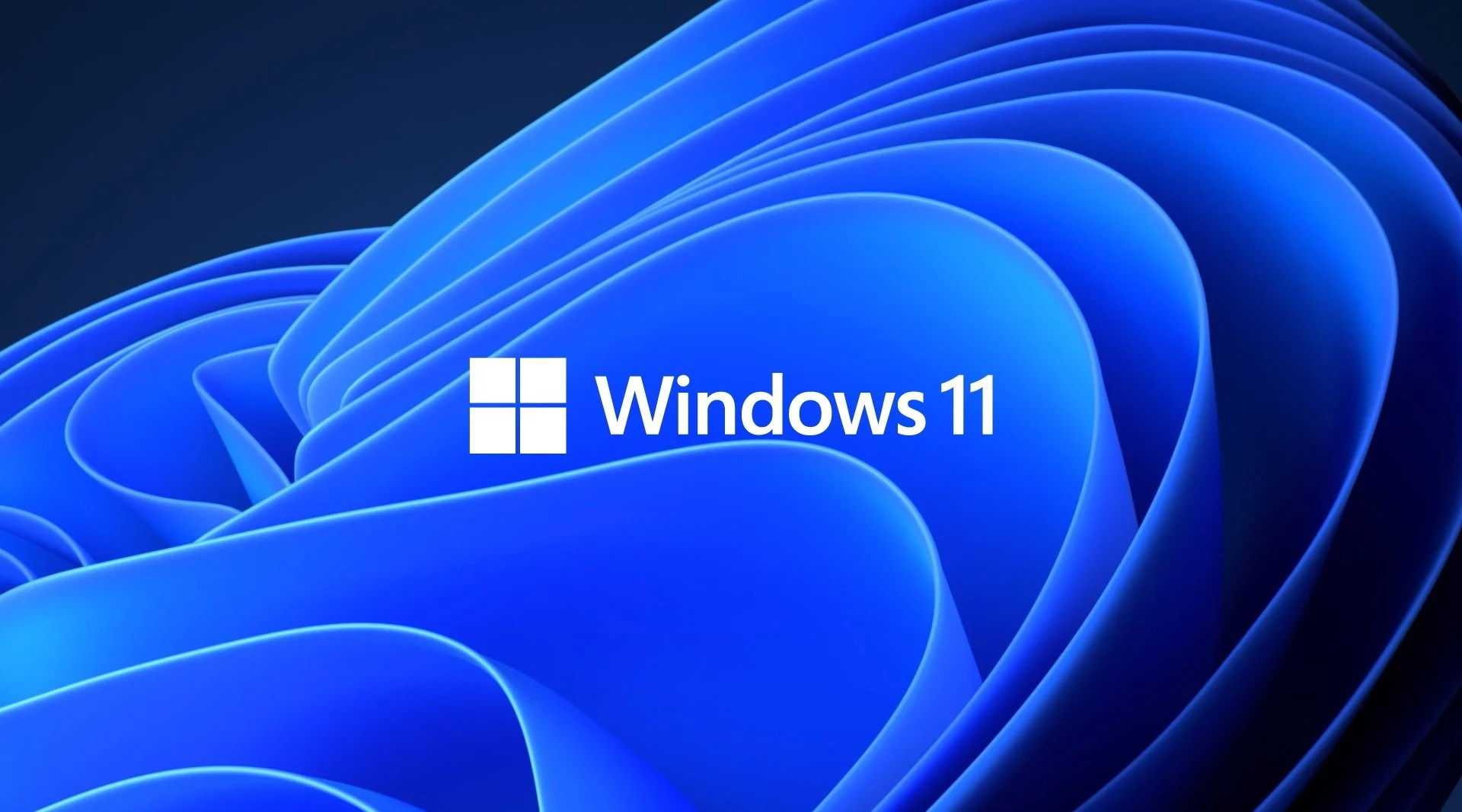 Le logo de Windows 11