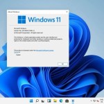 Windows 11 : une préversion fuite et montre la nouvelle interface avant la conférence