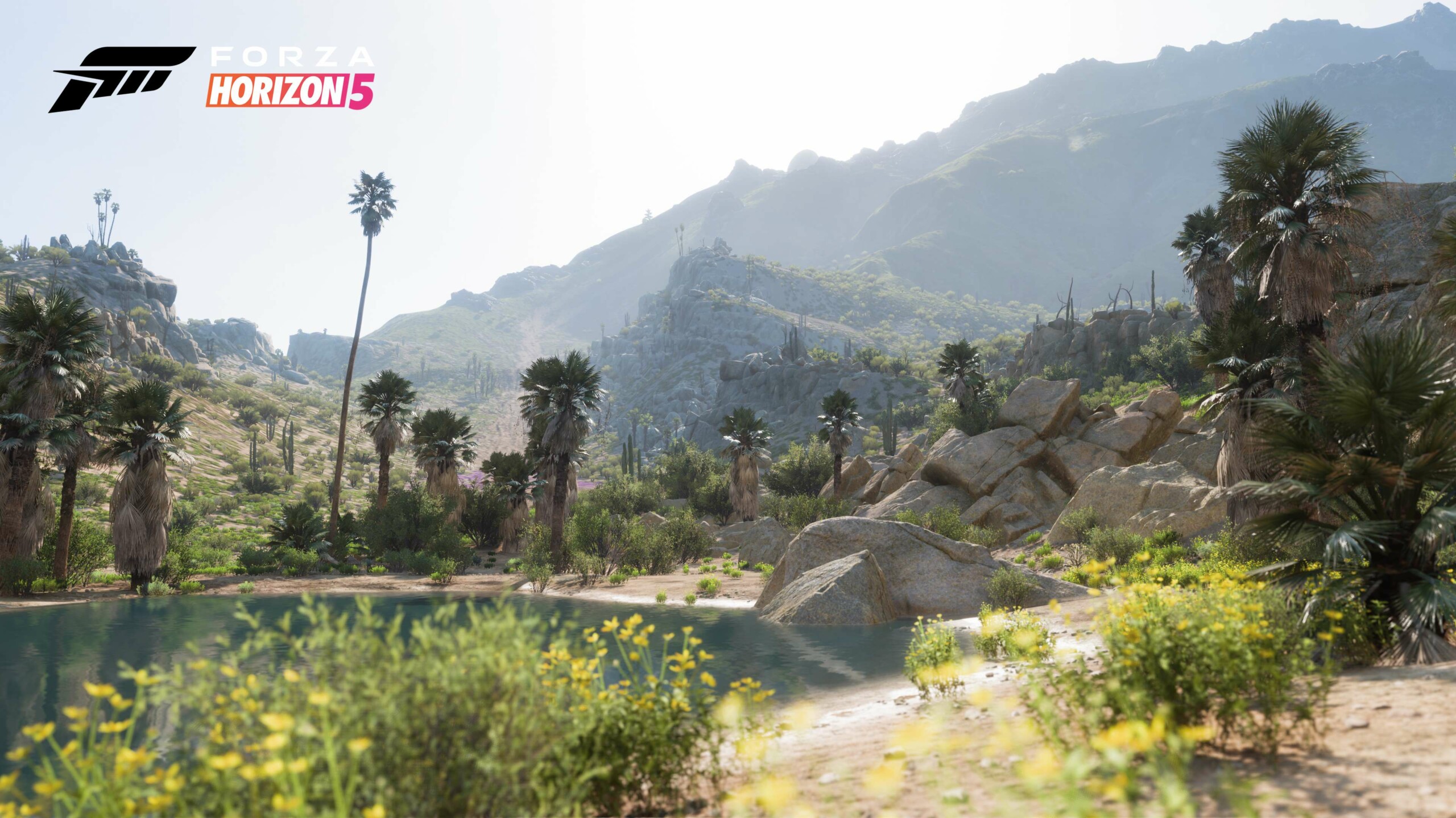 Forza Horizon 5 Biome (5)