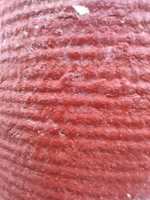 Mode macro du Find X3 Lite. // Source : Frandroid