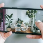 10 applications pour reconnaître les plantes et bien s’en occuper 10 applications pour reconnaître les plantes et bien s’en occuper