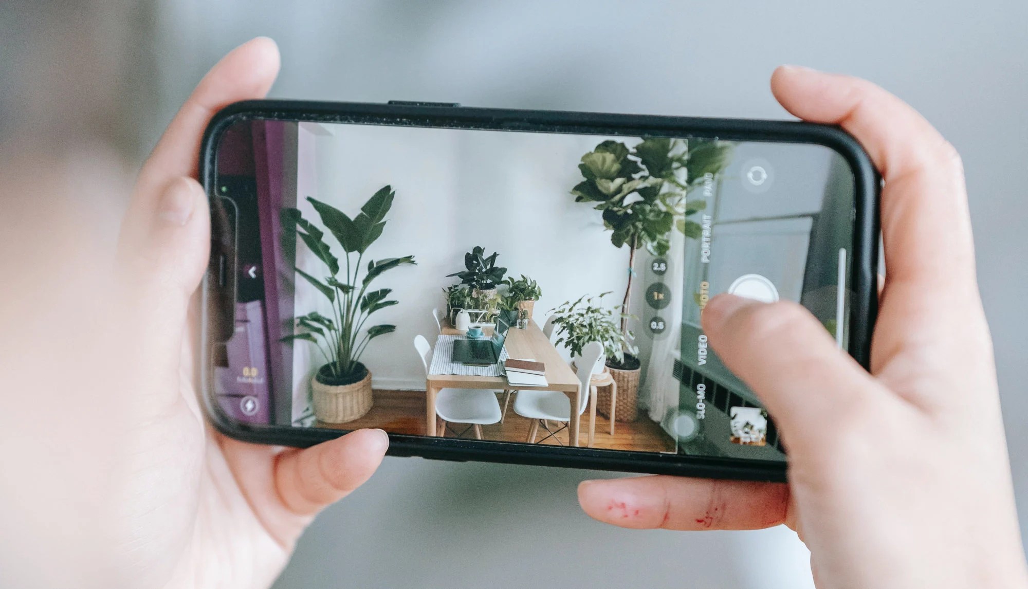 Votre smartphone permet de reconnaître de nombreuses plantes // Source : <a href=