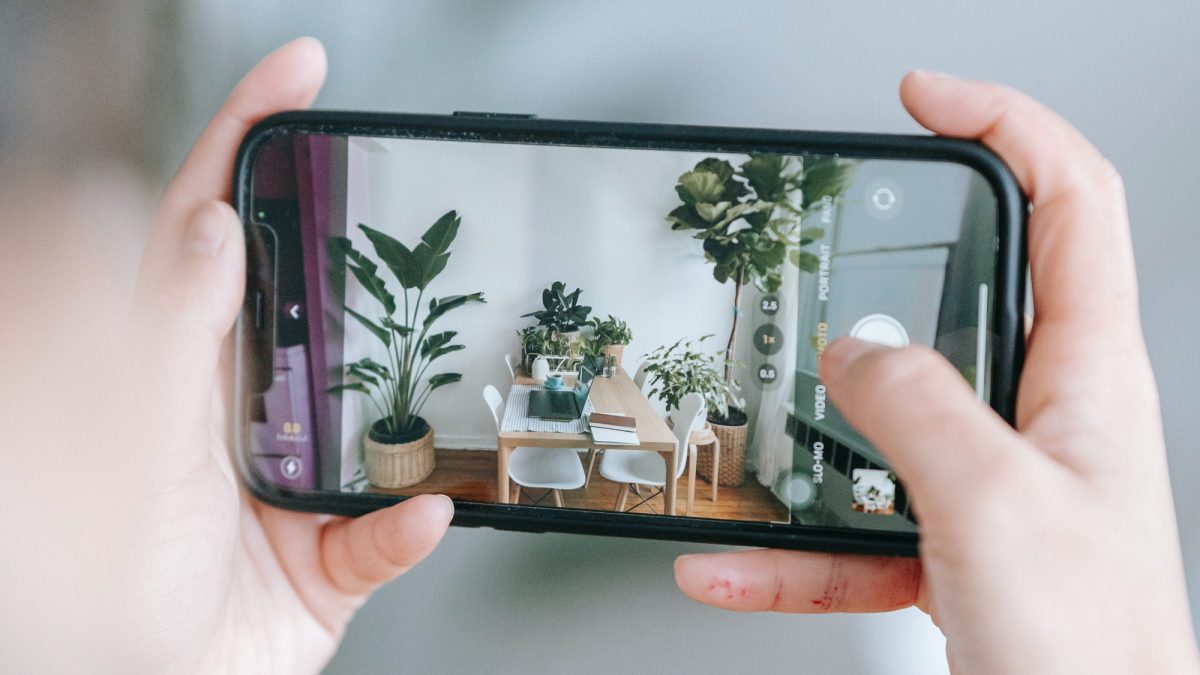 Votre smartphone permet de reconnaître de nombreuses plantes // Source : Teona Swift (via Pexels)