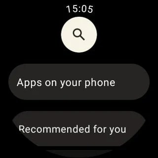 Play Store Wear OS 3.0