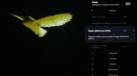 Le téléviseur propose un mode Netlifx Calibrated.