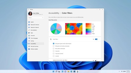 Windows-11-Accessibility-Screen