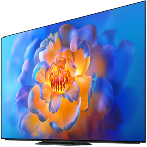 Xiaomi OLED V21