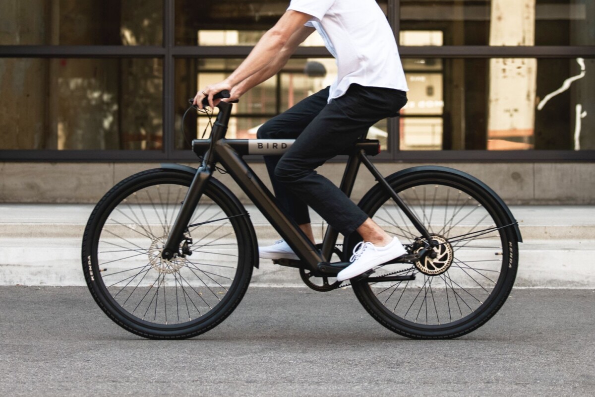 Bird Bike 3