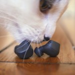 Test des Jabra Elite 3 : des écouteurs à 80 euros quasiment sans compromis Test des Jabra Elite 3 : des écouteurs à 80 euros quasiment sans compromis