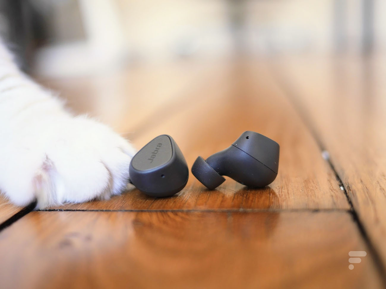 Les Jabra Elite 3 avec une patte de chat