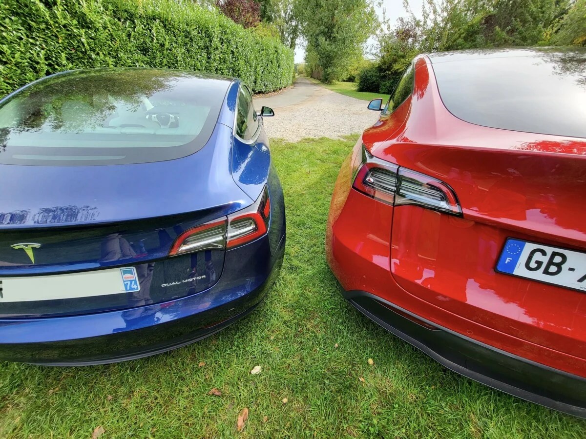 Model 3 Model Y Tesla