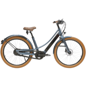 Reine Bike (2021) Reine Bike (2021)