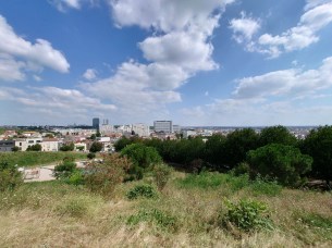 Ultra grand angle Xperia 1 iii (12)
