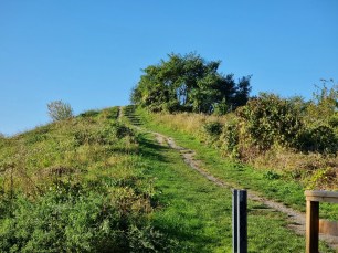 S21 ultra téléobjectif