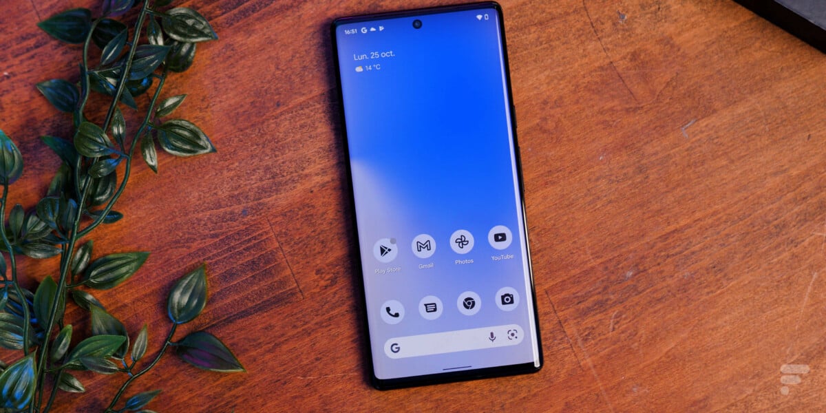 Le Google Pixel 6 Pro a un grand format