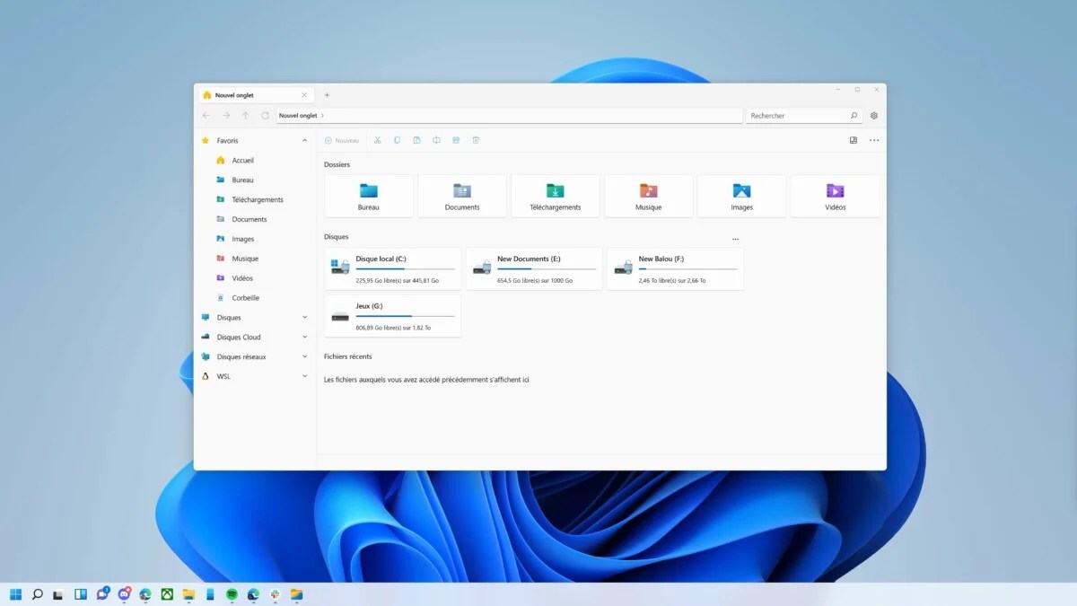 Microsoft Windows 11 application Files (1)