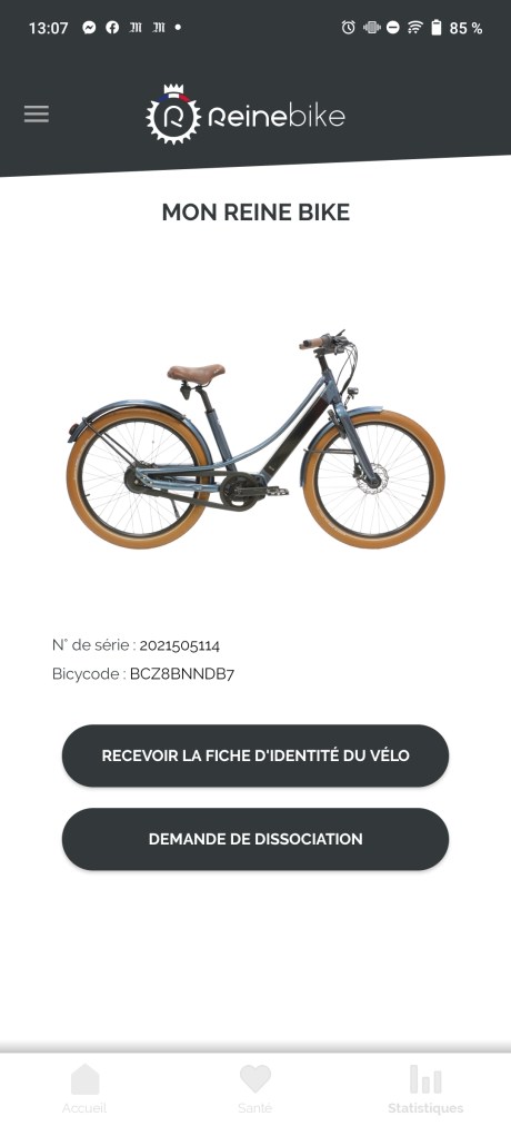 Reine Bike