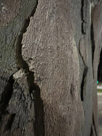 sample-photo-test-iphone-13-pro- (16)
