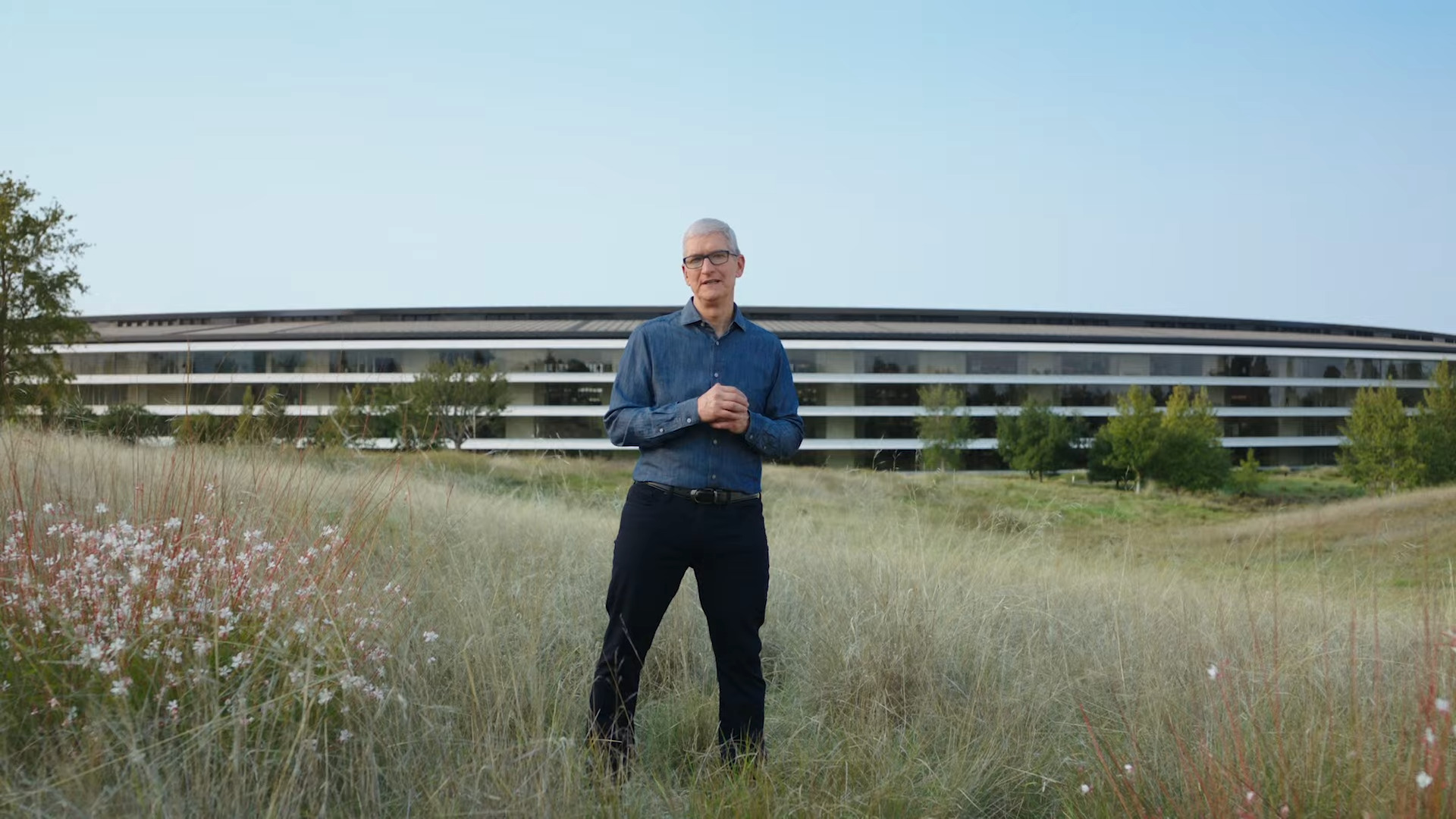 Tim Cook dans un champ près de l'Apple Park