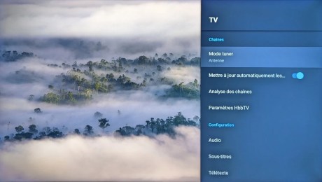 Les quelques options pour la TNT.